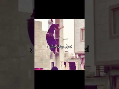 الڤيد إلي حلالكم ما يمثلني اكسبلور 