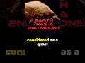 Earth has another moon   shorts space trending 4k