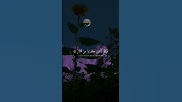 تلاوة هادئة تريح الأعصاب 😴🎧 القارئ: اسلام صبحى سورة: ص 💙❤