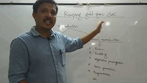 Reaping Gold From Soil - Part 2