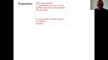 O que é gametófito dominante?