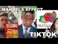 MANDELA EFFECT TIKTOK