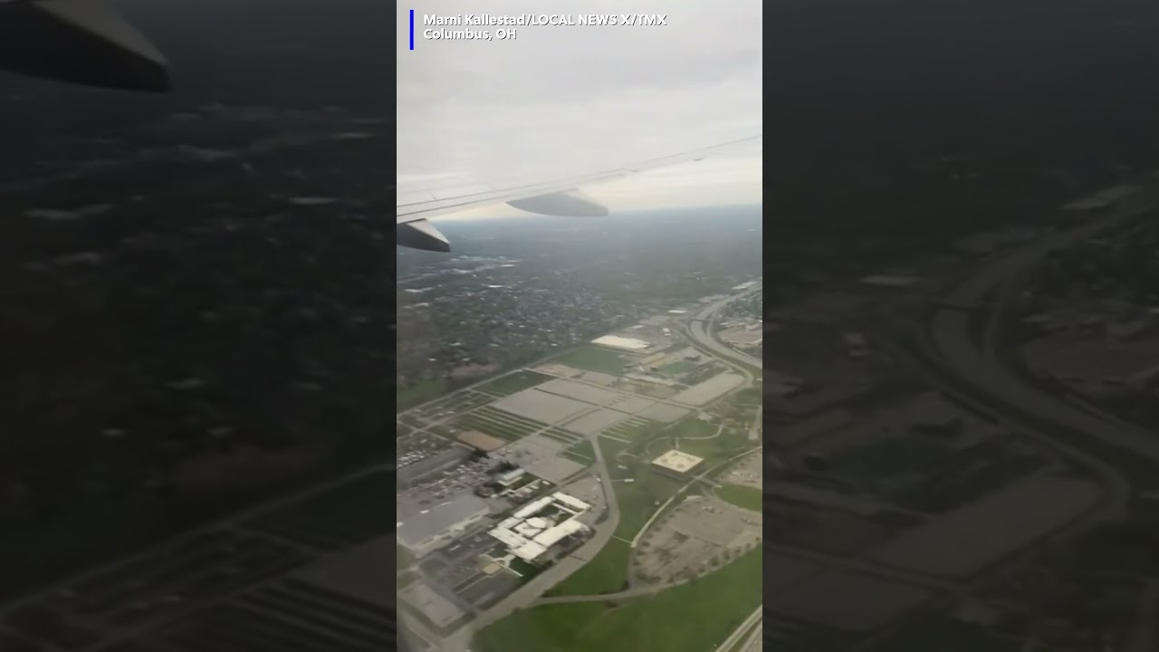 A Bird Strike Caused An Engine Fire On Plane Shortly After It Took Off 