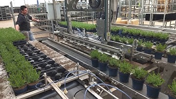 Tray Unloading and Tray Stacking