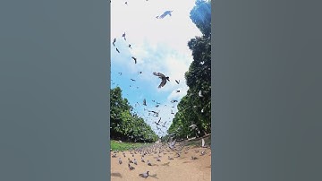 Tiny planet view of insta 360X3 #trending#shortvideo#viral#vlog#reels#youtube#video#trend#ytshorts