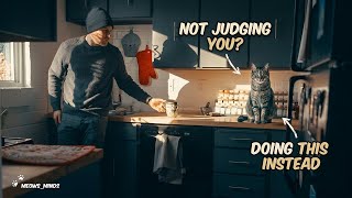 Your Cat's Stare Means Something Completely Different
