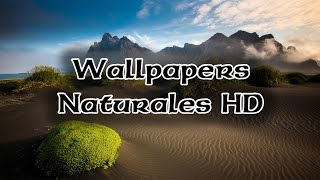 Pack De Wallpapers Naturaleza HD 2016 screenshot 3