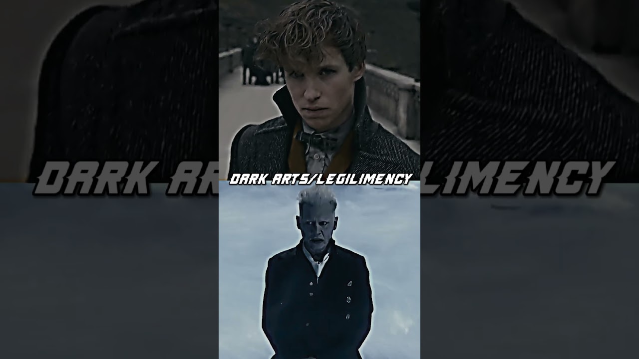Gellert Grindelwald vs Newt Scamander | battle 