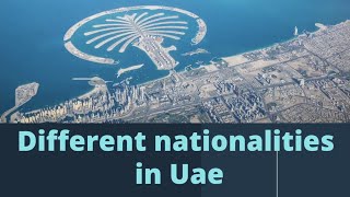 Different Nationalities in UAE screenshot 5