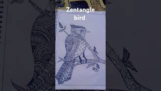 #creative #zenanglebirddrawing