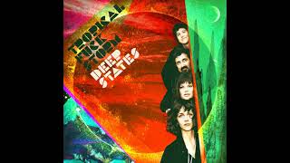 Tropical Fuck Storm -  The Donkey (Official Audio)