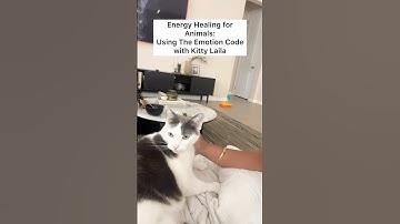 I Helped a Cat Heal Emotionally 🐾 Using The Emotion Code