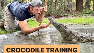 CROCODILE TRAINING & SANCTUARY VLOG!