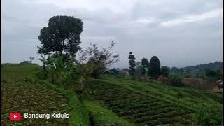 Suasana Keindahan Alam Desa Di Perkampungan Gunung Puntang Mekar Jaya Kecamatan Banjaran Jawa Barat