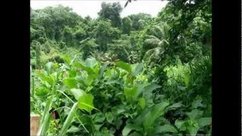 قراءة خاشعة من سورة القمر للشيخ إدريس أبكر