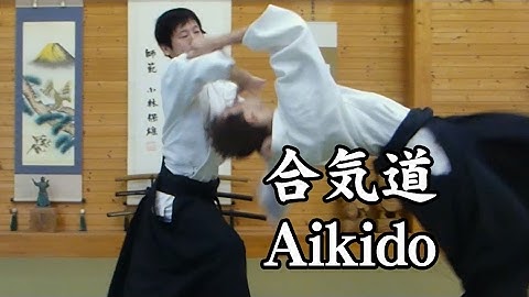 合気道 - 白川竜次先生【横面打ち自由技】 Aikido - Shirakawa Ryuji sensei
