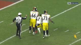 Browns Steelers Huge Fight!