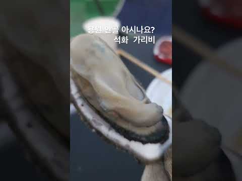 석화구이 제철입니다 택배도 가능하다네요 용원 안골입니다 #mukbang #먹방브이로그