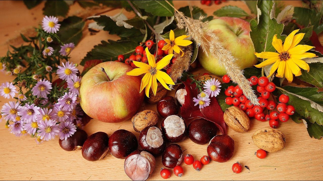 Harvest Family Service Sunday October 9th 2022 - YouTube
