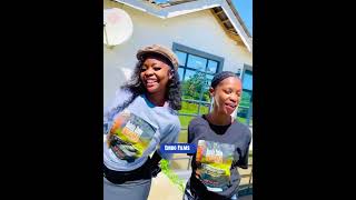 Halala Embo Ingoma Festival ingoma zuludance southafrica