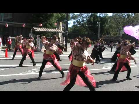 YOSAKOI宴や紫苑連 おどるんや～第７回紀州よさこい祭り～2010/8/8けやき