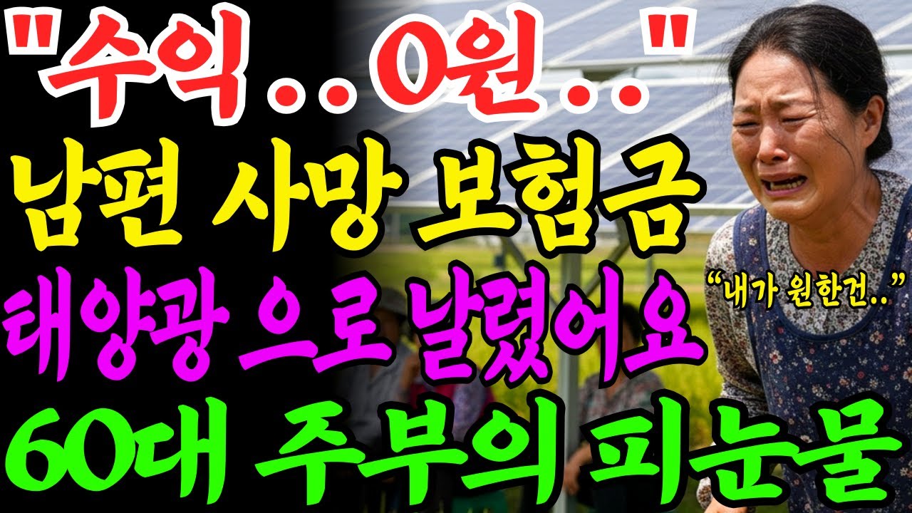 [노후자금사연] 이럴줄 몰랐습니다.. 태양광 사업을 시작한 60대 주부의 비극... 결과는 처참했습니다. 현실 스토리, 현실 조언 | 사연라디오 | 오디오북 | 삶의지혜 |