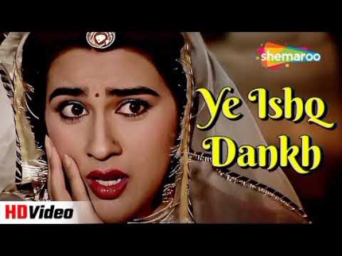 Ye Ishq Dankh 💔|| Bollywood songs || Hindi songs || Most Emotional Songs