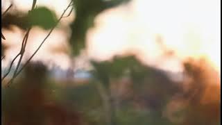 Iklan Bahasa Arab | الإعلان باللغة العربية