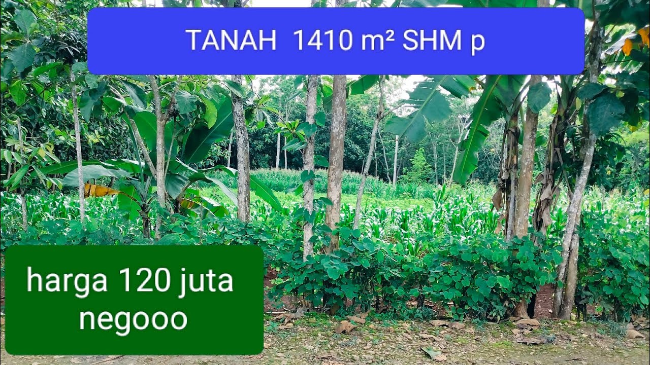 #TERJUAAAAAL✓✓✓✓TANAH SUBUR HARGA  HANCUR#@yb property