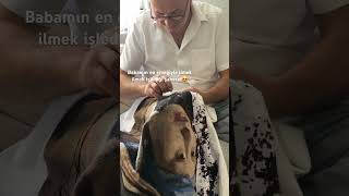 Babamın Ilmek Ilmek Işlediği Şaheserlerinden Sadece Biri İlgililerine Duyurulur.