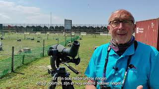 Aflezen Van Kleurringen Bij Grote Meeuwensoorten