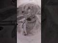 Requested Drawing. #art #design #creativity @Shruti.in.Becoming