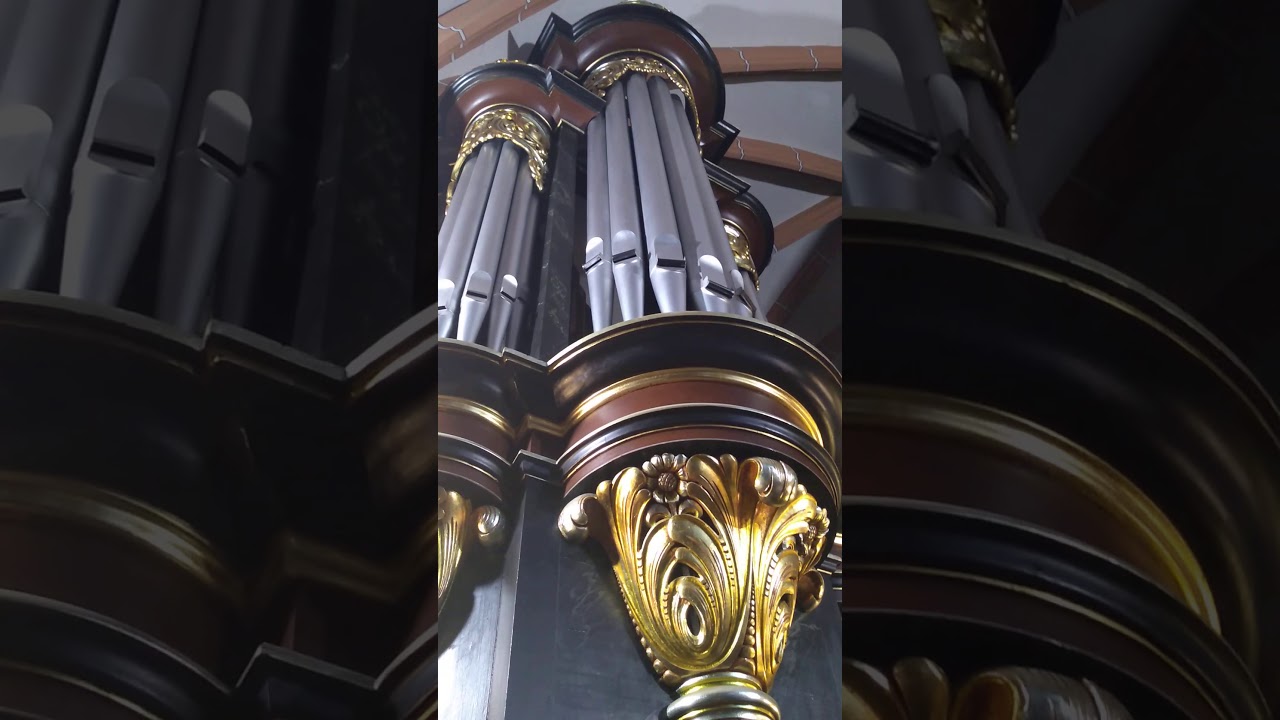 My heart will go on - Organy w Chojnowie