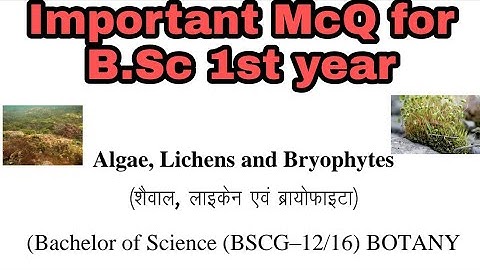 B.Sc –I Year Botany Paper-II Important MCQ  Bsc 1st year  MCQ  Algae And Bryophyte Paper 🙂 🗞️