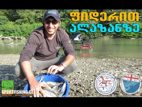 ფიდერით ალაზანზე - Feeder Fishing at Alazani Riv. Georgia, Kakheti