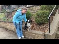 Point Breeze Dog Training with Suburban K9!