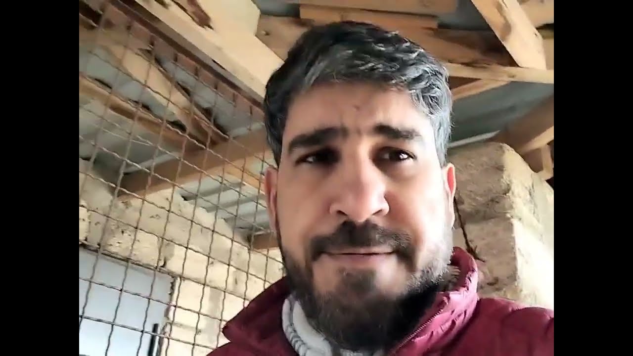 Привет от наших хвостиков Кай в клиники 