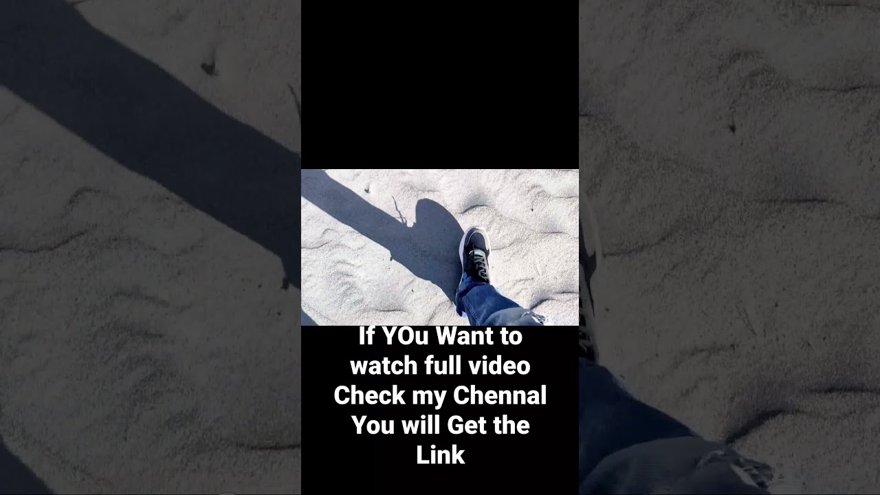 Lost In Golden Sand Dunes Of Nubra Valley || 