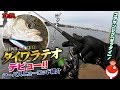 新しいシーバスロッド試したら素晴らしすぎた！【ダイワ ラテオ】