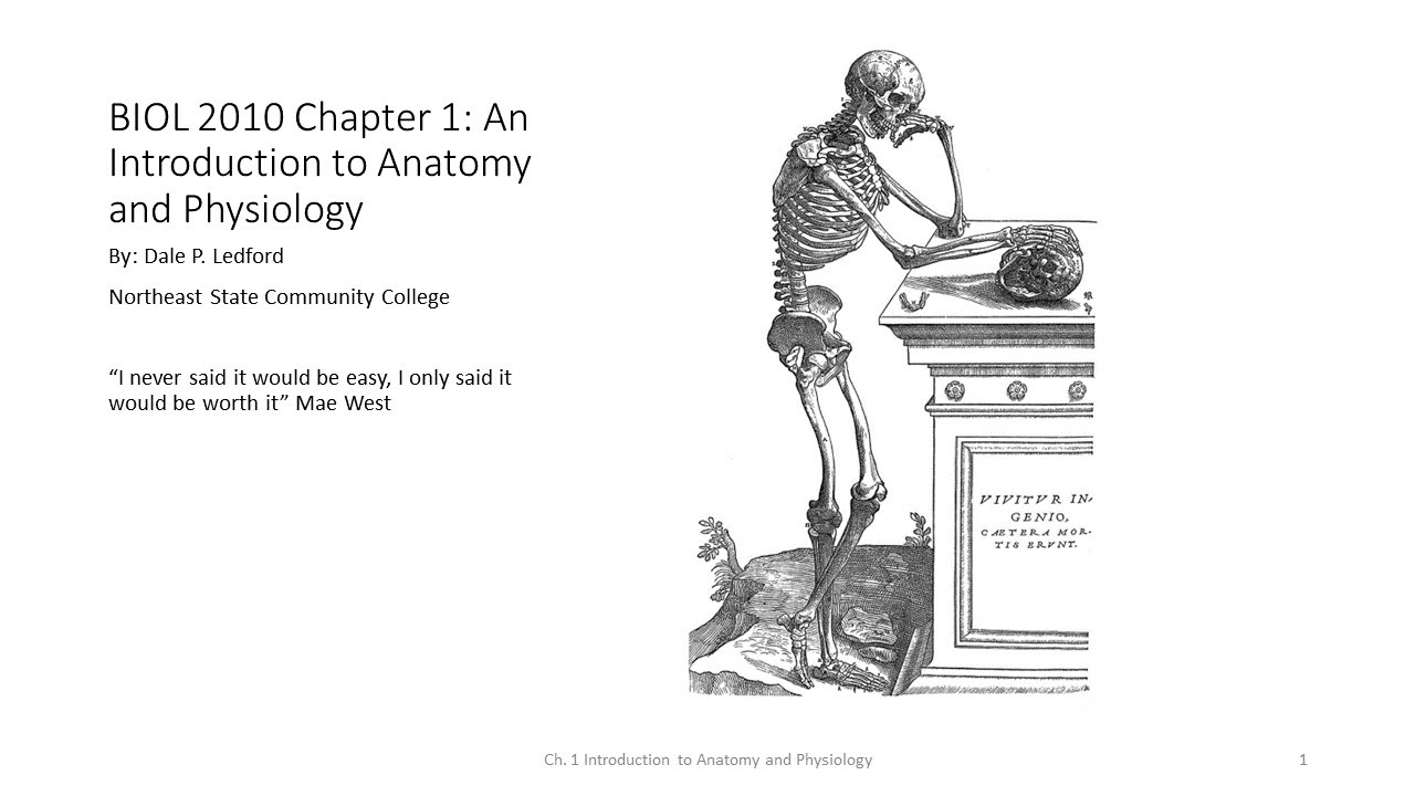 BIOL 2010 Chapter 1 Part 1 of 2 - YouTube