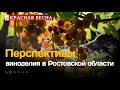 Кто сделает российское вино, и как будет меняться спрос в условиях санкций