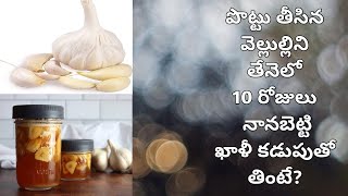 Health Benefits of Garlic//garlic //garlicbenefits //benefitsofhoney //healthforgarlic