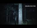 6 Unexplained Encounters Caught In The Deep Woods