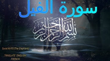 سورة الفيل مترجمة - القارئ هزاع البلوشي    Surat Al-Fīl (The Elephant)