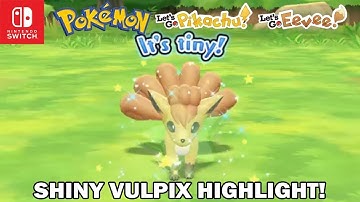 SHINY VULPIX REACTION! - Pokemon Let