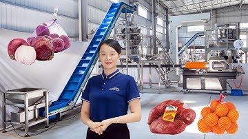 Automatic Orange Fruit Vegetable Net Bag Mesh Bag Weighing Packaging Labeling Machine