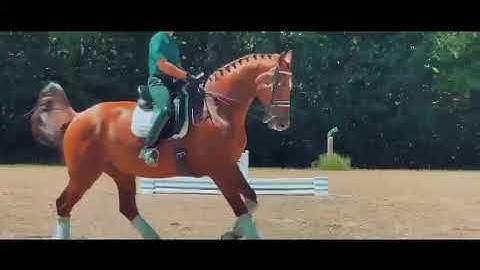 Vincent Flores / Django Kerguelen