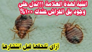 هذة العلامات تدل على وجود البق فى فراشك 100% 