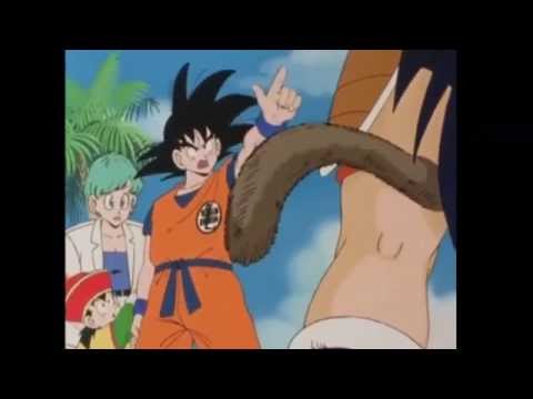 Dragon Ball Z La Série Abrégée - Episode 1 - YouTube