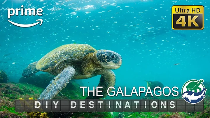 DIY Destinations (4K) - The Galapagos Budget Trave...